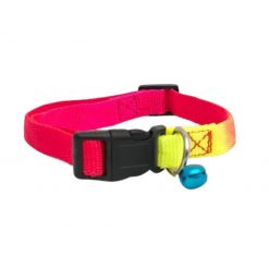 Collar Gato Elástico Regulable