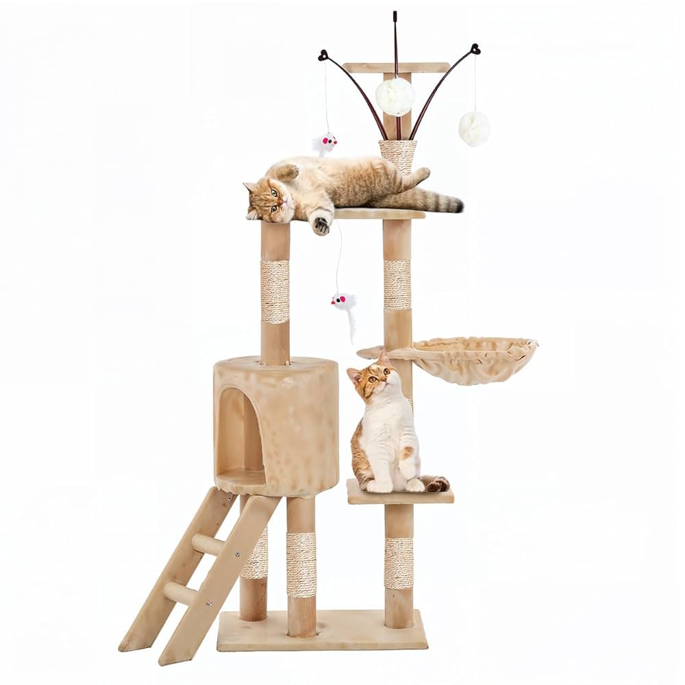 51XiA18AkPL._UF1000,1000_QL80_