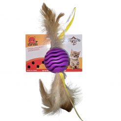 Pelota con Plumas